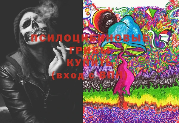 круглые Алзамай