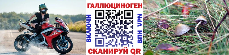 Псилоцибиновые грибы прущие грибы  хочу наркоту  Соль-Илецк 